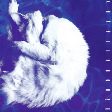 WHIRLPOOL (180G) | VINYL RECORD (LP)