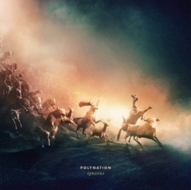 POLYNATION | IGNEOUS | VINYL RECORD (LP)