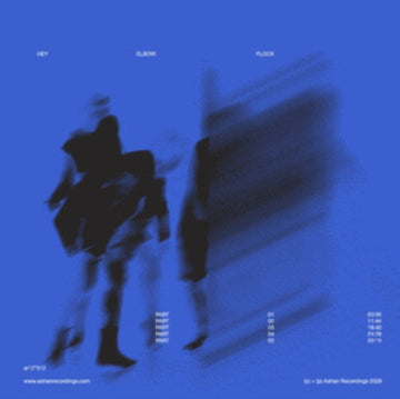 FLOCK (BLUE TRANSPARENT VINYL) | VINYL RECORD (LP)