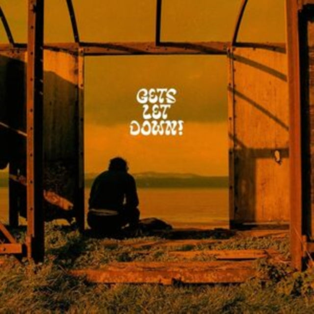 HYPOTHETICS | GETS LET DOWN! | VINYL RECORD (LP)