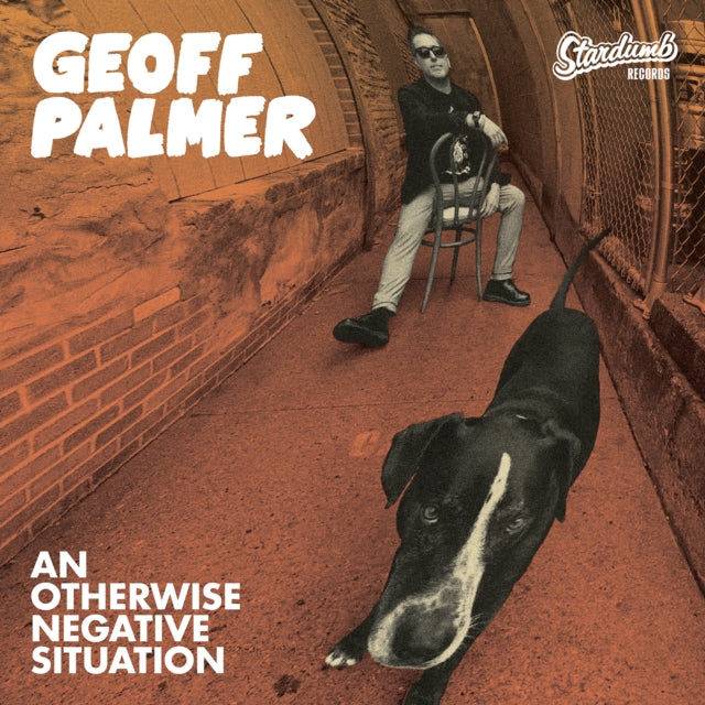 PALMER, GEOFF | OTHERWISE NEGATIVE SITUATION | VINYL RECORD (LP)