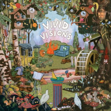 VIVID VISIONS | VINYL RECORD (LP)