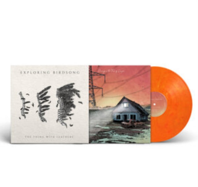 EXPLORING BIRDSONG | DANCING IN THE FACE OF DANGER | VINYL RECORD (LP)