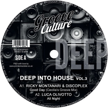 DEEP INTO HOUSE VOL. 3 | 12IN VINYL