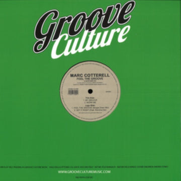 FEEL THE GROOVE | 12IN VINYL