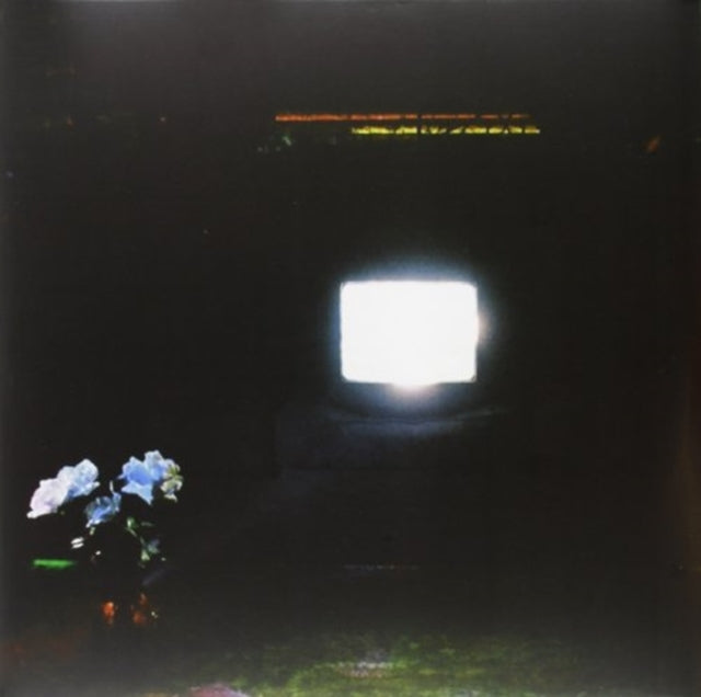 EMERALDS | DOES IT LOOK LIKE I'M HERE (2LP) | VINYL RECORD (LP)