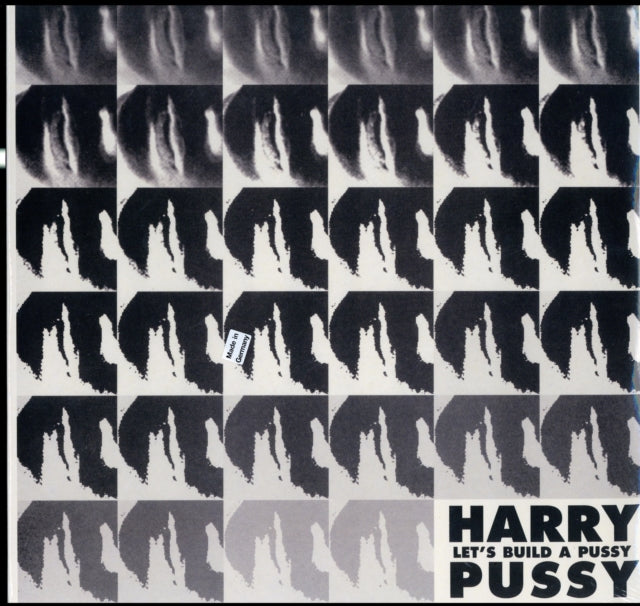 HARRY PUSSY | LET'S BUILD A PUSSY (2LP) | VINYL RECORD (LP)