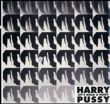HARRY PUSSY | LET'S BUILD A PUSSY (2LP) | VINYL RECORD (LP)
