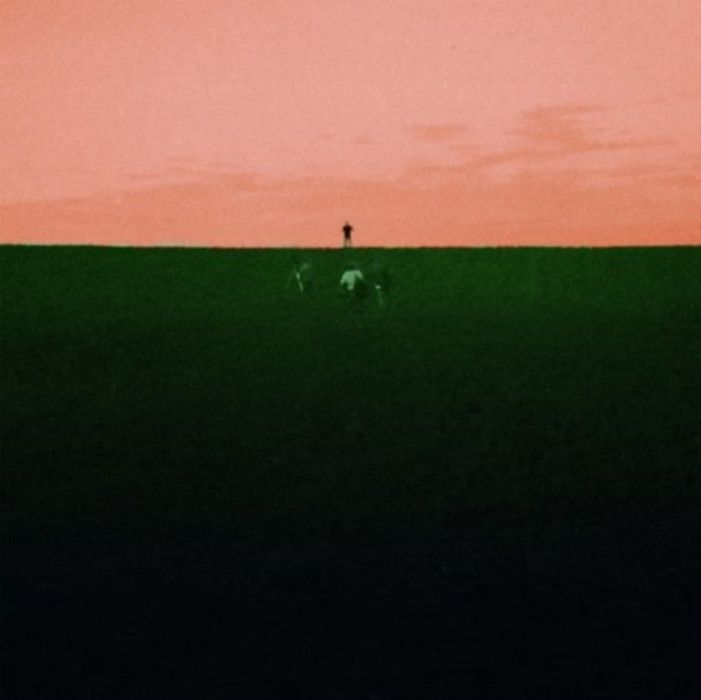 DUST COVERED CARPET | WITNESS ME PASS OUT | VINYL RECORD (LP)