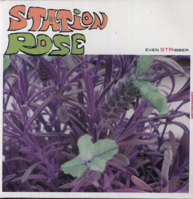 STATION ROSE | EVEN STRIBBER | 12IN VINYL