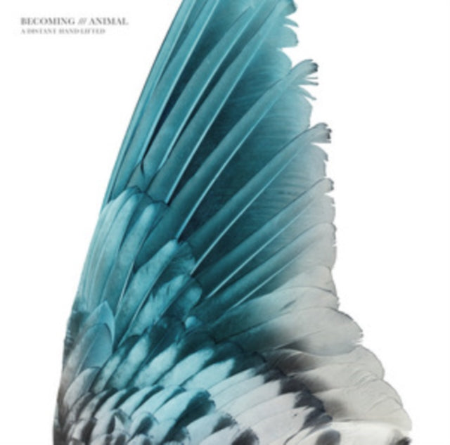 BECOMING ANIMAL | A DISTANT HAND LIFTED | VINYL RECORD (LP)