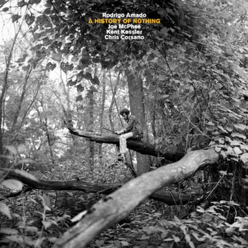AMADO ; MCPHEE ; KESSLER ; CORSANO | HISTORY OF NOTHING | VINYL RECORD (LP)