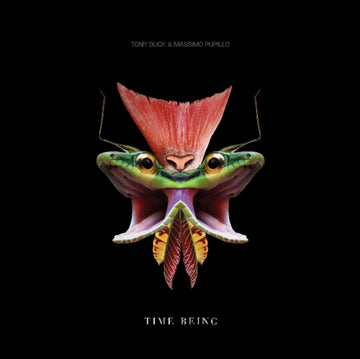 BUCK & MASSIMO PUPILLOTONY | TIME BEING | VINYL RECORD (LP)