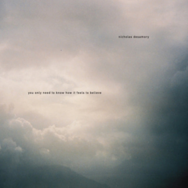 DESAMORY, NICHOLAS | YOU ONLY NEED TO KNOW HOW IT FEELS TO BELIEVE | VINYL RECORD (LP)