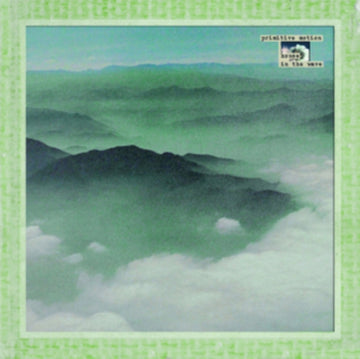 HOUSE IN THE WAVE | VINYL RECORD (LP)