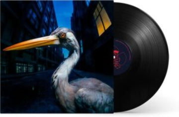 DECODING BIRDSONG | VINYL RECORD (LP)
