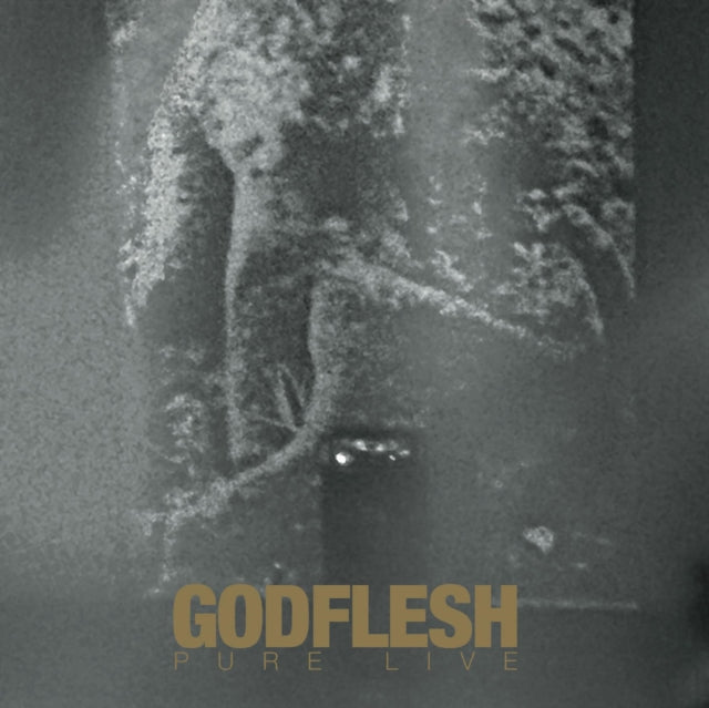 GODFLESH | PURE: LIVE | CD