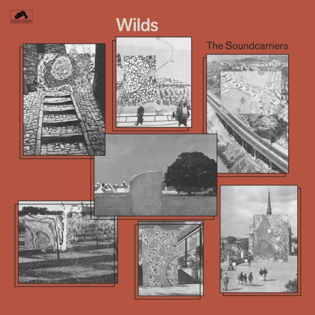 SOUNDCARRIERS | WILDS | VINYL RECORD (LP)