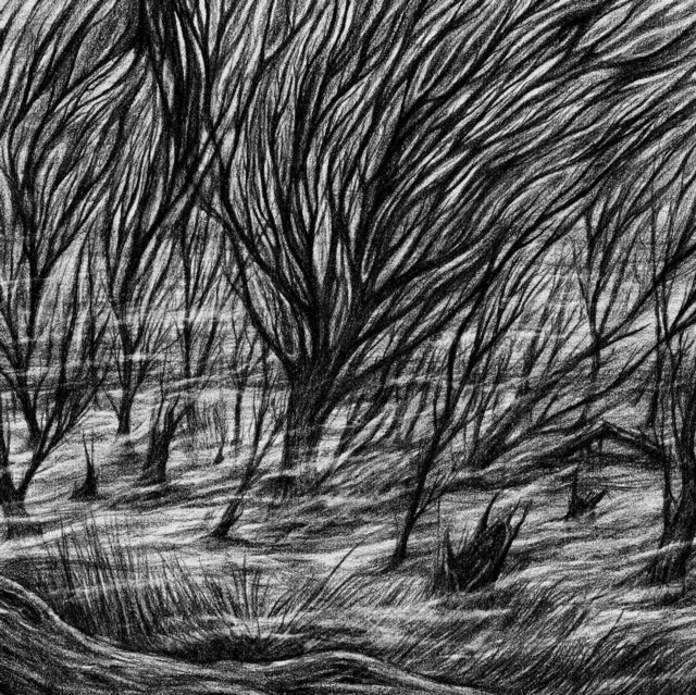 BISMUTH | ETERNAL MARSHES | VINYL RECORD (LP)