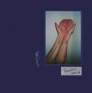 TRANSIENT WORLD | VINYL RECORD (LP)