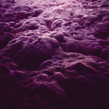 HAPTICALITY | VINYL RECORD (LP)