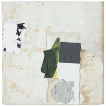 EVERYTHING PERFECT IS ALREADY HERE | VINYL RECORD (LP)