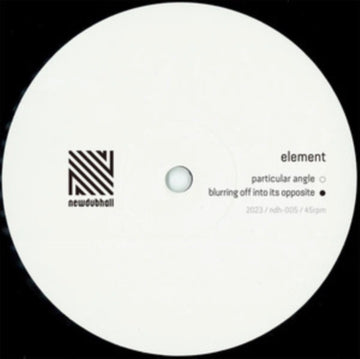 PARTICULAR ANGLE | 10IN VINYL
